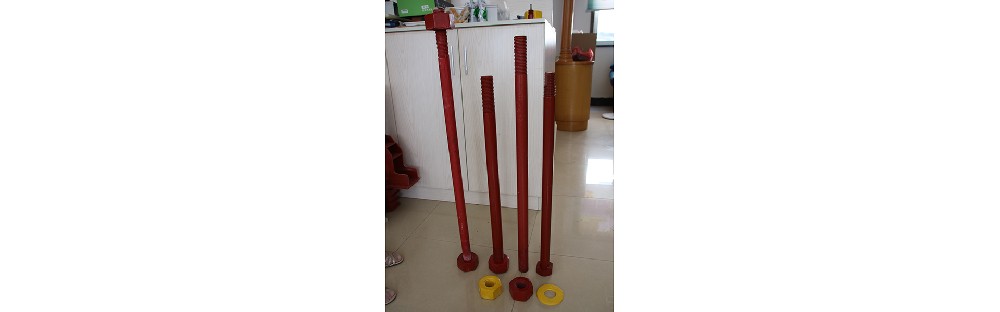 BMC绝缘丝杠